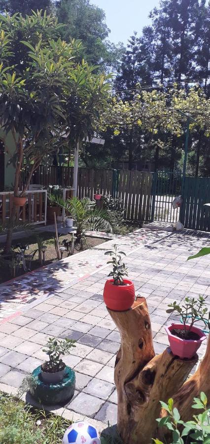 Beatris Daire Ureki Dış mekan fotoğraf